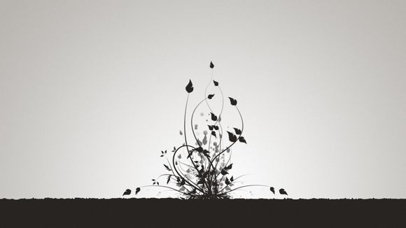 阜阳到绍兴旅游团多少钱