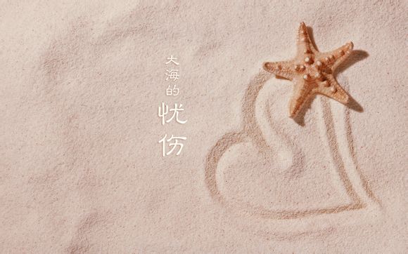 长沙酒店旅游团价格多少