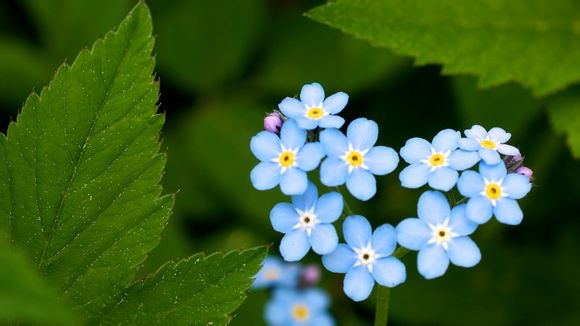 婺源农家乐住哪里好玩