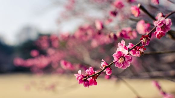 长阳县风光带旅游景点有哪些